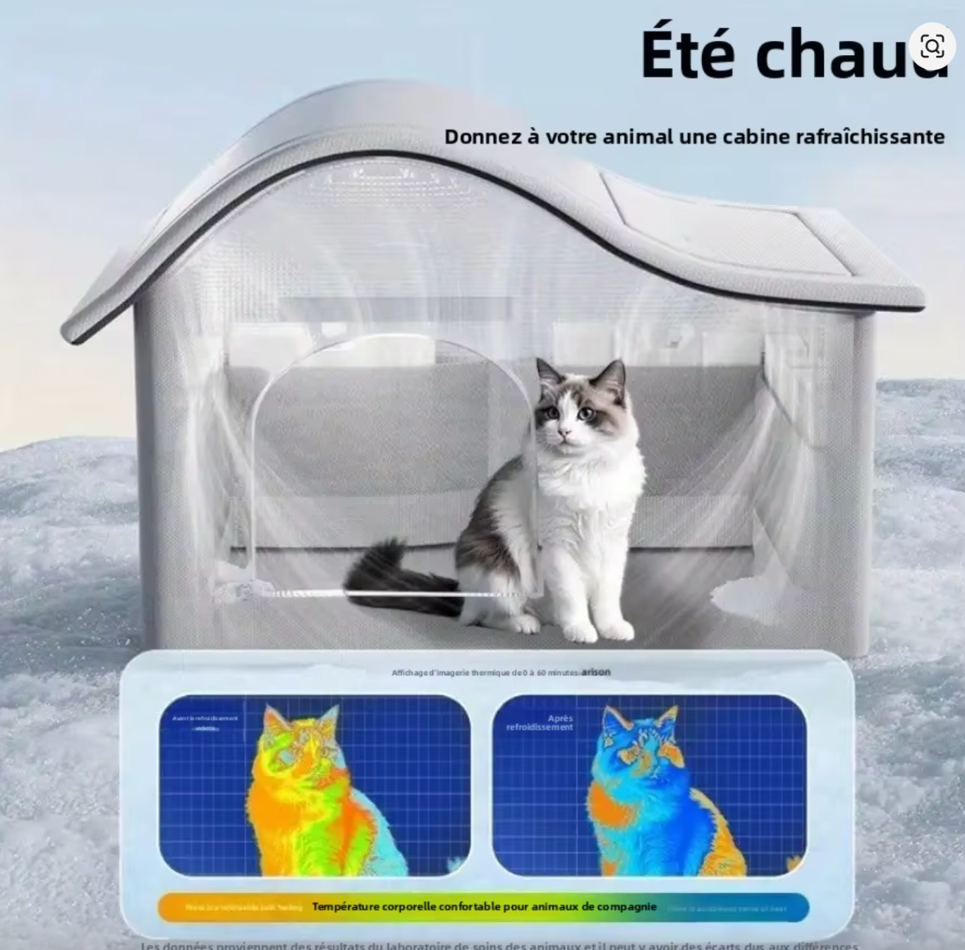 Maison Rafraîchissante pour Chat & Petit Chien